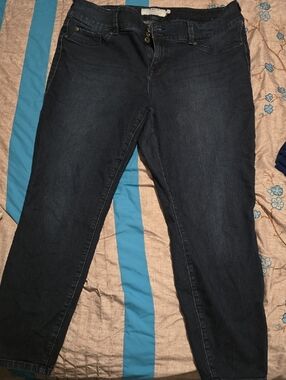 torrid Dark Blue Stretch Jeggings